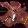 C. A. of Pararealisme of Comp. of Where shall we three meet again Pieter Holstein 1985 50 x 60 cm